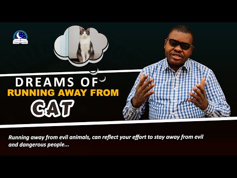 Dreams of Running Away from Cats or other dangerous animals