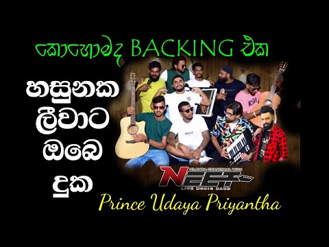 Hasunaka liwata / හසුනක ලීවාට #prince_udaya_priyantha #sunflower #neet