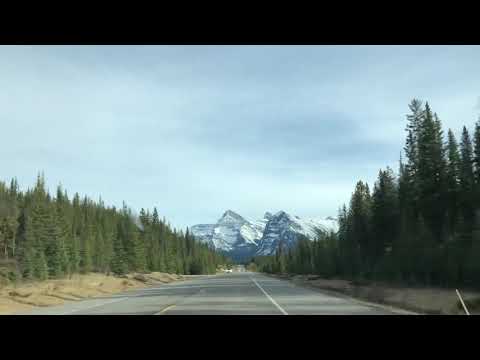 Driving through Jasper National Park 1