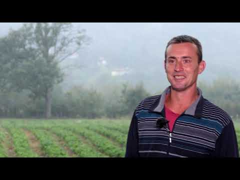 Biram selo ep. 27 10.10.2018. Milićevo, Požega, jabuka i jagoda