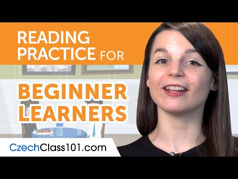 Czech Reading Practice for Beginners
