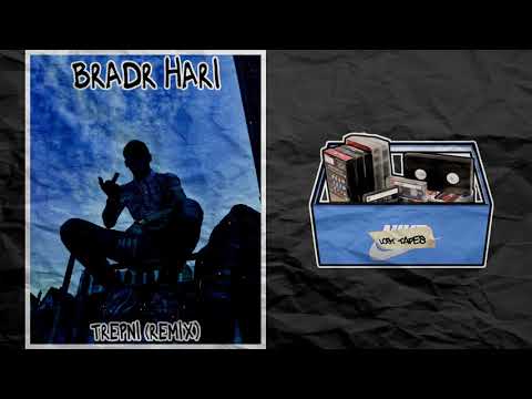 Bradr Hari - Trepni [REMIX]