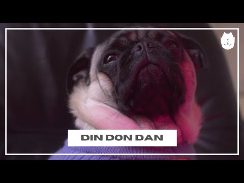 RED SKY - Din Don Dan (Rap Italiano 2020/Metal Italiano 2020)
