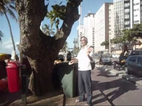 Lúcio Mustafá na Praia - percebendo aspectos da ecologia...