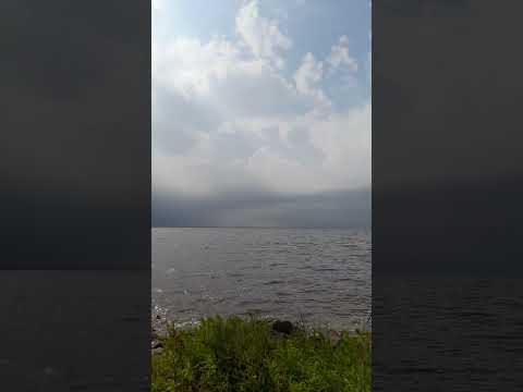 Melincue -Santa Fe,  Argentina #naturelovers