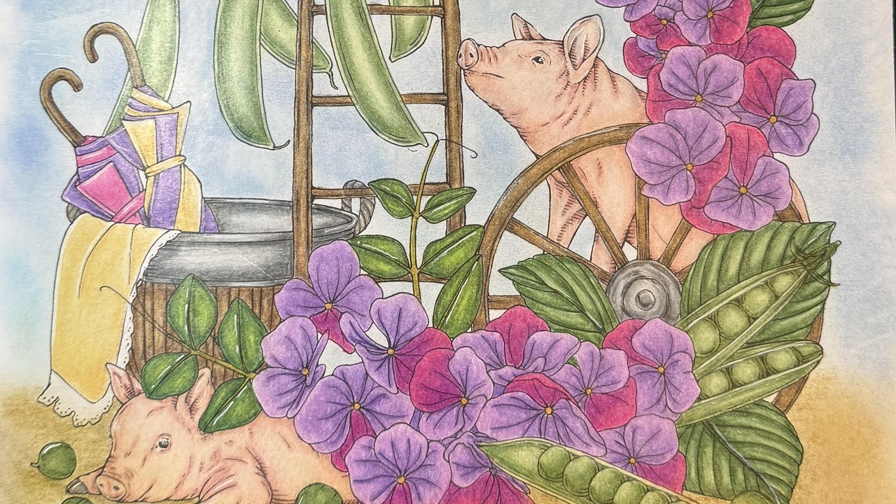 March 2026 Completed Pages