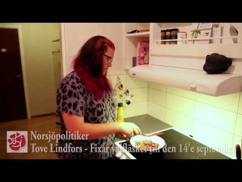 Norsjöpolitiker - Tove Lindfors