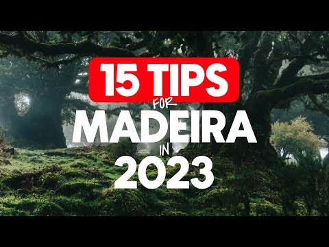 , title : '15 PRO TIPS for exploring MADEIRA ISLAND in 2023!'
