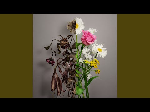 Video thumbnail for Butterfly