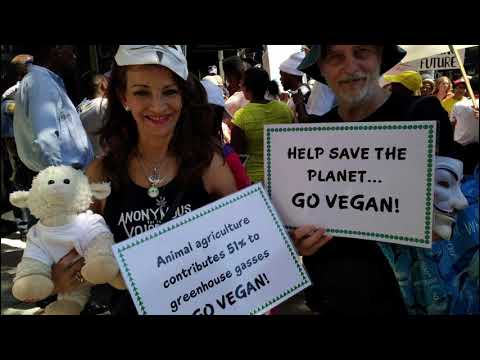 youth4climate 190924