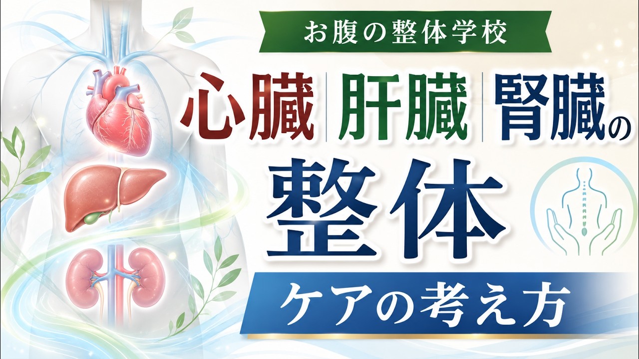 心臓・肝臓・腎臓の整体