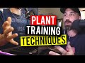 How To Train Plants LST Topping FIMing Super Cropping Garden Talk Episode 2