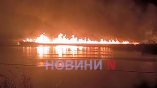 В Николаеве масштабный пожар: горят заросли камыша на Ингуле (видео)