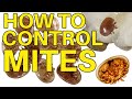 How To Control Mites | 50% OFF ALL ONLINE CLASSES