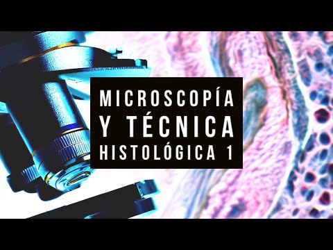 , title : '01 (1 de 2) - 👨🏻‍🔬 Microscopía y TÉCNICA HISTOLÓGICA 🔬'