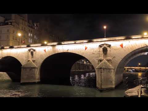 Seine River Evening Sightseeing Cruise by Vedettes de Paris