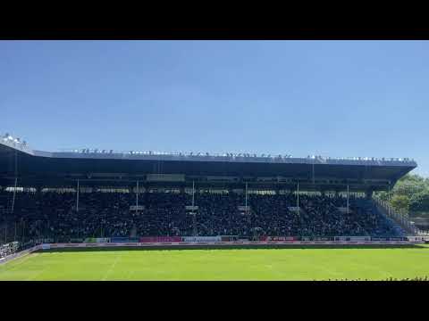SV Waldhof Mannheim Hymne 💙🖤 Blau & Schwarz - Mein Herz fing an zu schlagen - SVW vs Dynamo Dresden