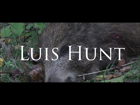 Eindrucksvolle Damwildbrunft und Saujagd | Luis Hunt