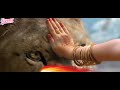 Mata Sherawali Whatsapp Status Navratri WhatsApp Status Mata Rani Status Maa Durga Status