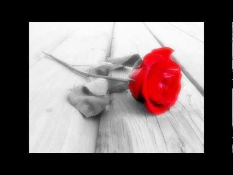 Pravijo da je ljubezen