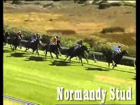 Mother Russia, Kenilworth, Queens Plate, 08/01/2011