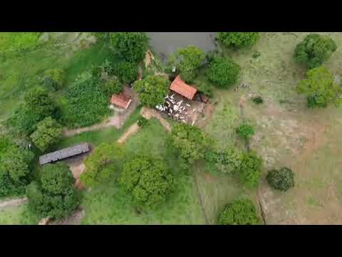 Fazenda à venda em Esmeraldas–MG - 93 ha