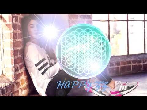 Lost Frequencies Are You With Me (Dash Berlin Remix)