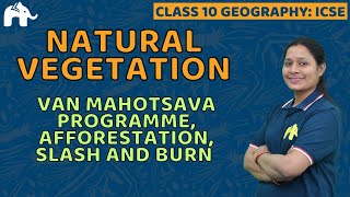 Natural Vegetation Class 10 ICSE Geography | Selina Chapter 6 | Van Mahotsava , Afforestation