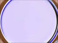 REUPLOAD NEW EFFECT KILLING ZOOPALS