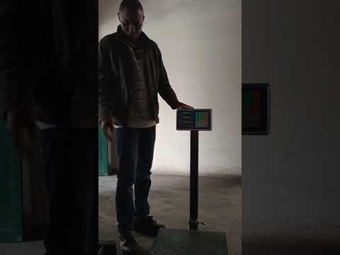 Calibration of 300kg Capacity Digital Scale
