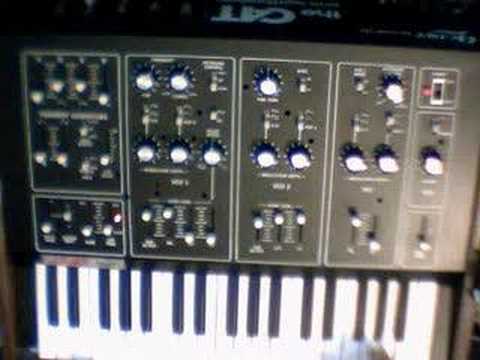 Octave Cat SRM sounds