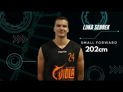Luka Sebrek, Small Forward, Napredak Metalka Majur