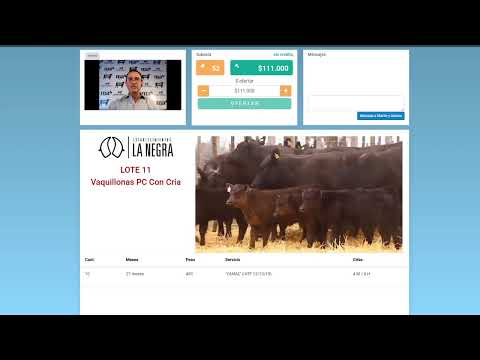 Remate Martín y Alonso SRL