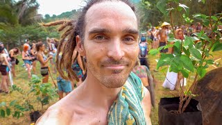 Reforesting A Cattle Ranch - Costa Rica Day 2