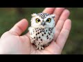 Owls Are The CUTEST In The World Funny Animals Videos 2025