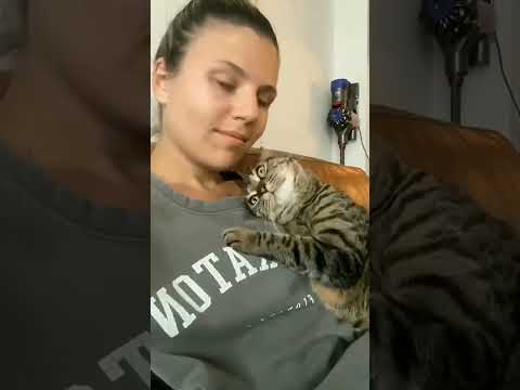 The Ultimate Guide to Cat Videos! 🐱😻 | 5 Trending Hashtags Revealed!