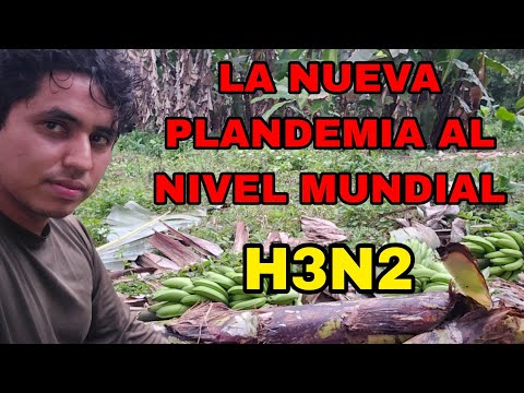 H3N2 THE NEW GLOBAL PLANDEMIC FLEE THE CITIES TO THE COUNTRYSIDE NOW WHILE YOU CAN