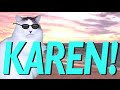 View 23 Happy Birthday Karen Cat Meme