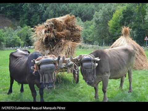 IV Concurso de Fotografía de la Reserva de la Biosfera de los Ancares Leoneses.