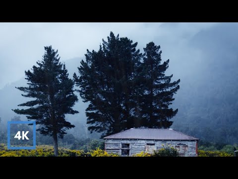 10hrs of RAIN in New Zealand Countryside, Gentle Rain Sounds to Sleep, Relax, Study | Binaural Rain