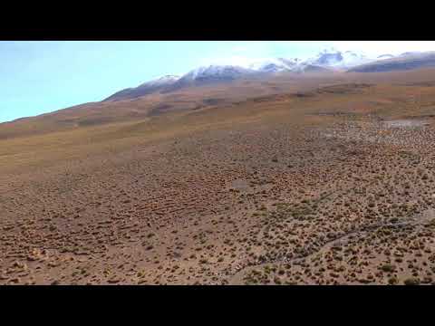 Trailer for Left for Dead. To air on Discovery Channel in the U.K. 14th September