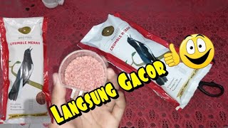 Download lagu Bird Food Review and Its Gut Content || Gold Coin Crumble Red Feed mp3 Download lagu Bird Food Review and Its Gut Content || Gold Coin Crumble Red Feed mp3