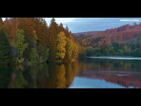 Niedersachsen im Herbst entdecken: Urlaub im Harz!
