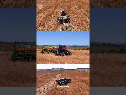 Caseih ForzaJ Maluselli. vitorino PR