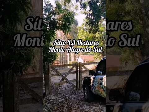 Sítio 4,3 Hectares - Monte Alegre do Sul - SP