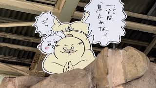 ちいかわウォーターランドに行ってみた / スパリゾートハワイアンズ