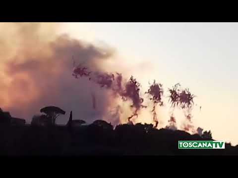 2018-11-18 FIRENZE - FUOCHI D'ARTIFICIO DI CAI GUO-QIANG
