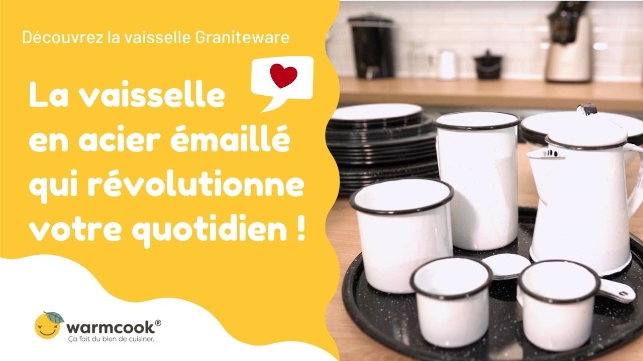 Bol petit déjeuner / bol vaisselle / bol émaillé 