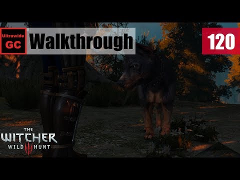 The Witcher 3: Wild Hunt [#120] - Velen: A Dog's Life || Walkthrough