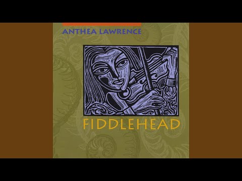 Morrison's Jig/The Butterfly/Swallowtail Jig